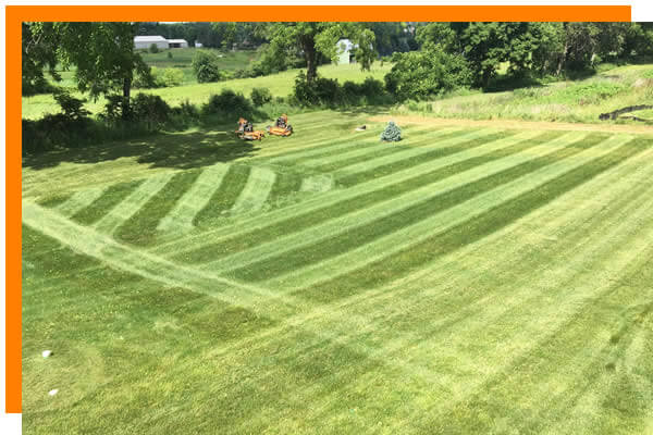 Weekly Lawn Mowing Services Stoughton Area