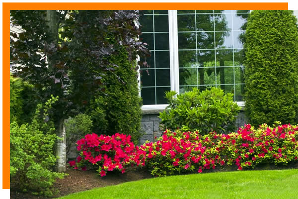 Softscape Landscaping Services in Middleton Area