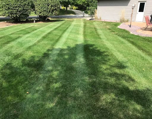 How to Get the Perfect Lawn This Season in Madison
