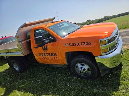 What to Look For in a Professional Team